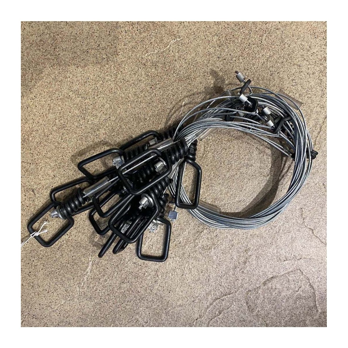 Southern Snares Rabbit Snare