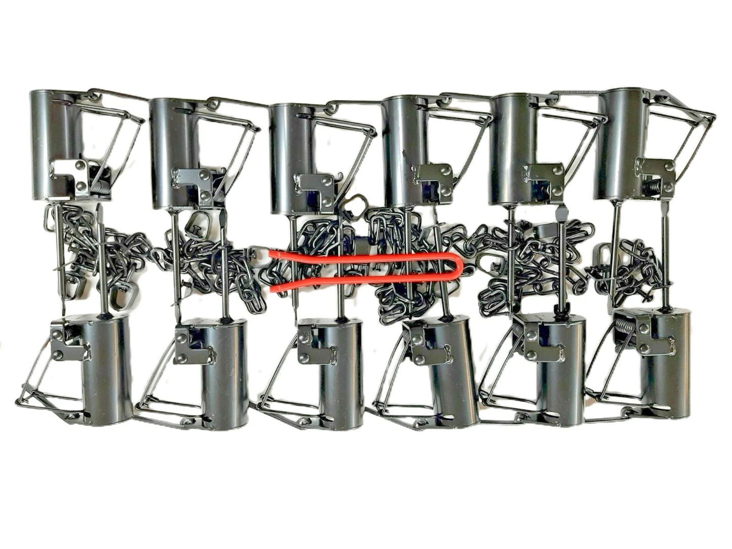 Cold Creek Dog Proof Trap w/ included Cold Creek DP Setter